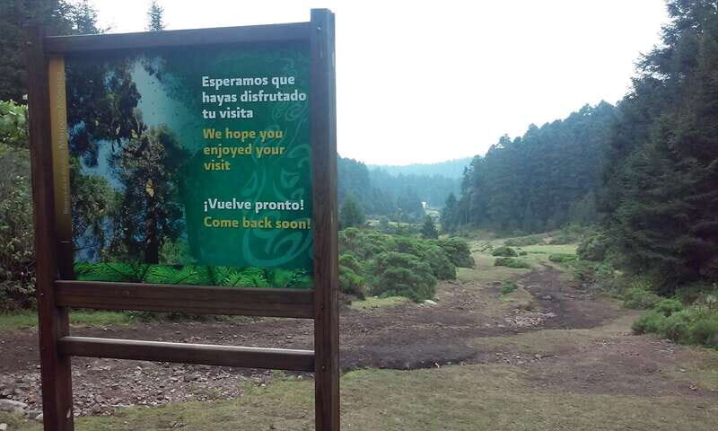 Morelia: Monarch Butterfly Tour - Final Thoughts: Is This Tour Right for You?
