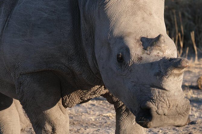 Moremi Day Trip (full day) - Key Points