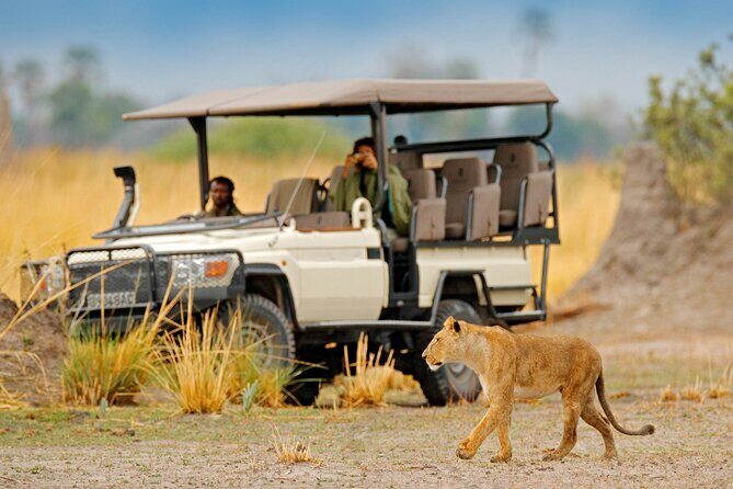 Moremi Full Day Trip From Maun - Key Points