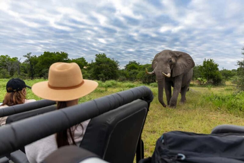 Moremi Game Reserve Delta Day Trip - What to Expect from This Botswana Safari Experience