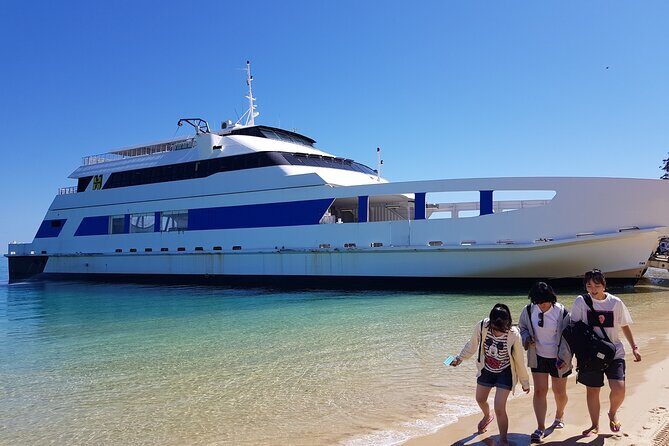 Moreton Island Day Trip (Kayak, Snorkel & Sandboard) frm Brisbane or Gold Coast - Kayaking: Observing the Reef from a New Perspective