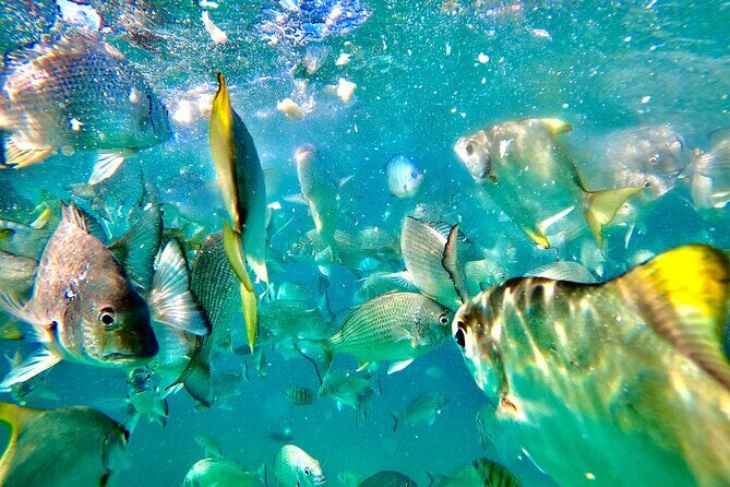 Moreton Island Day Trip (Kayak, Snorkel & Sandboard) frm Brisbane or Gold Coast - Optional Extras and Flexibility