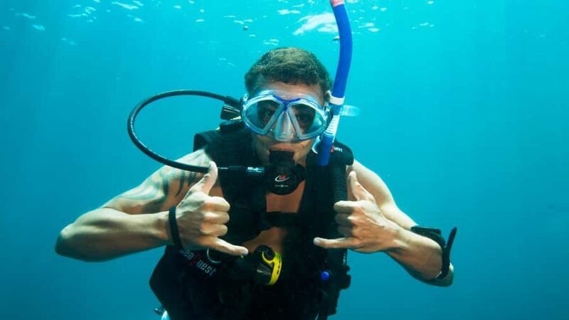 Moreton Island Day-Trip to Scuba Dive and More - Final Thoughts: Who Is This Tour For?