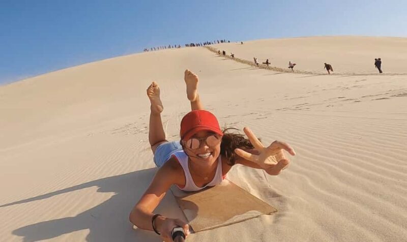 Moreton Island: Desert Safari Tour & Dolphin Viewing - An Introduction to the Tour