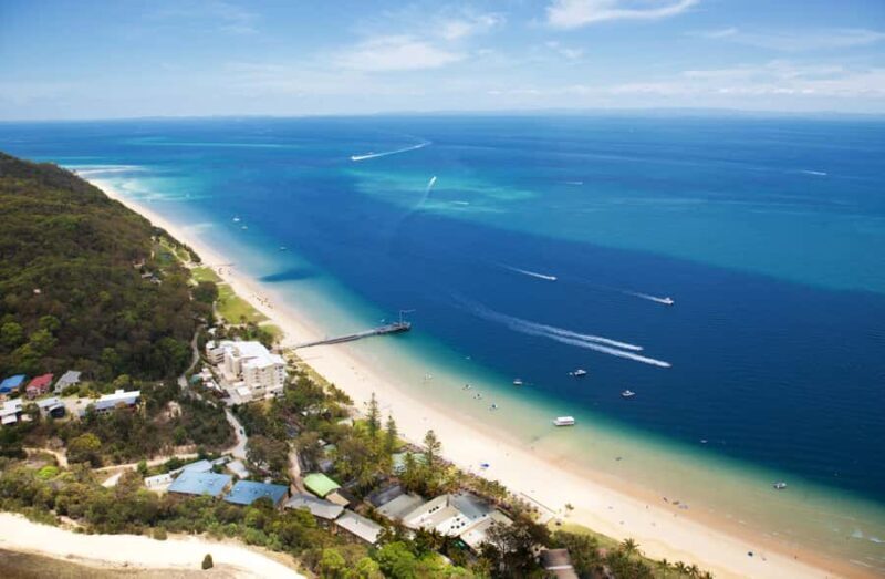 Moreton Island: Desert Safari Tour & Dolphin Viewing - What Do the Reviews Say?