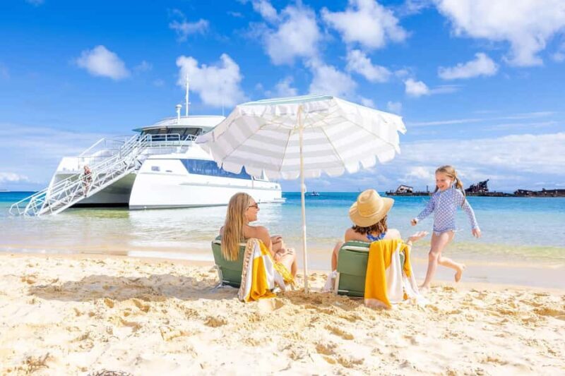Moreton Island: Dolphin & Tangalooma Wrecks Snorkel Cruise - A Deep Dive into the Experience