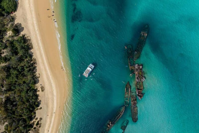 Moreton Island: Dolphin & Tangalooma Wrecks Snorkel Cruise - Potential Drawbacks or Considerations