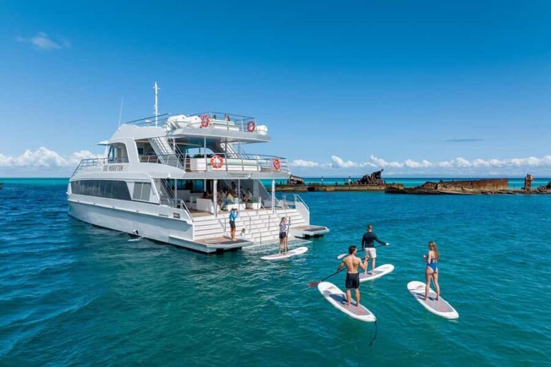 Moreton Island: Dolphin & Tangalooma Wrecks Snorkel Cruise - Final Thoughts