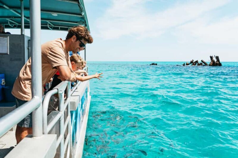 Moreton Island: Marine Discovery Cruise & Dolphin Feeding - A Closer Look at the Itinerary and Experience