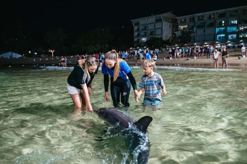 Moreton Island: Marine Discovery Cruise & Dolphin Feeding - Authentic Experiences and Real-World Feedback