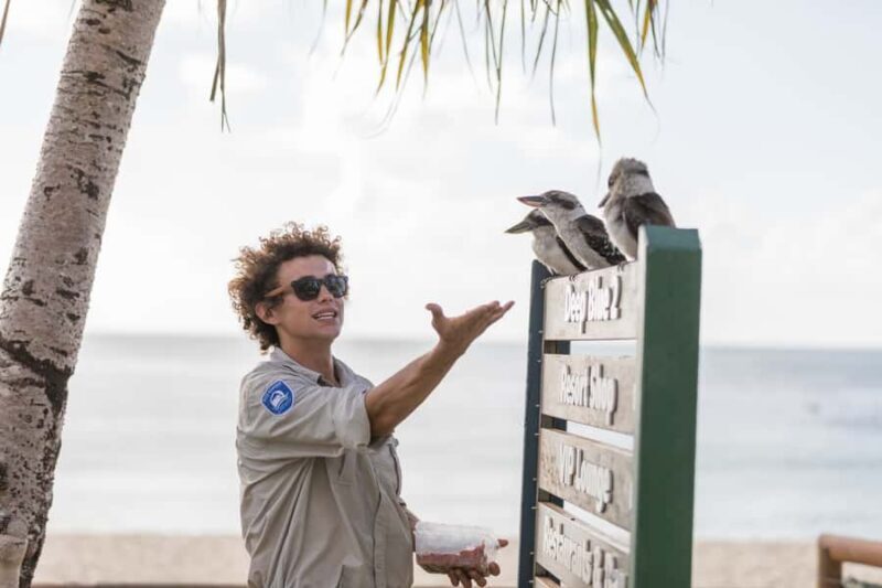 Moreton Island: Marine Discovery Cruise & Dolphin Viewing - Final Thoughts: Is It Worth It?