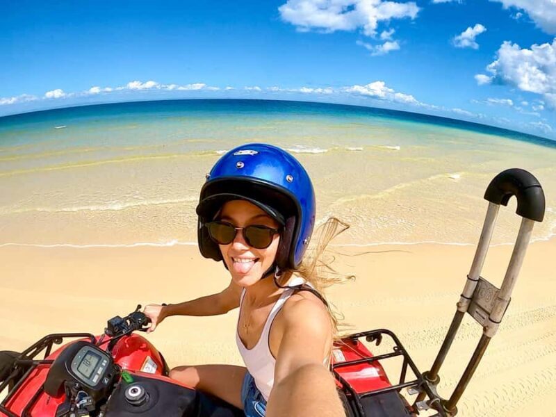 Moreton Island: Tangalooma ATV Quad Bike & Dolphin Feeding - An In-Depth Look at the Experience