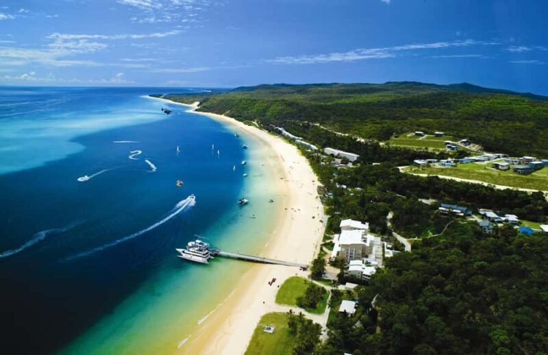 Moreton Island: Tangalooma Day Trip & Whale Watching Cruise - An In-Depth Look at the Tour