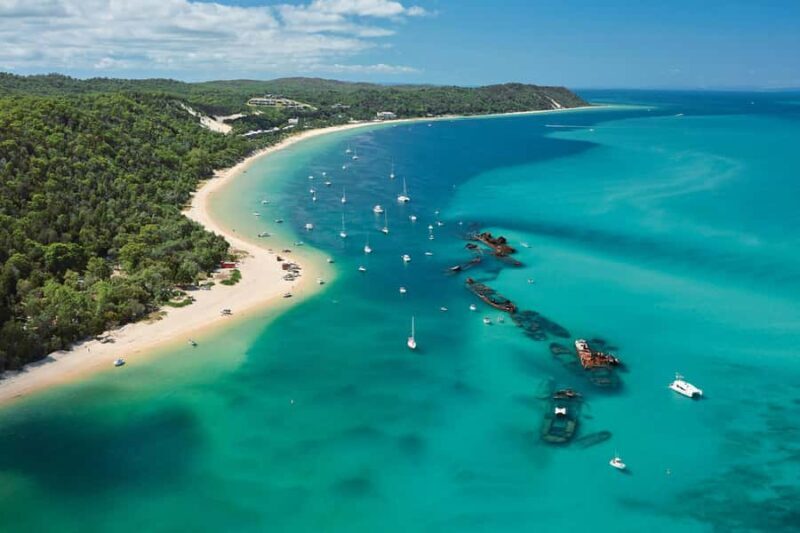 Moreton Island: Tangalooma Day Trip with Desert Safari - Authentic Traveler Insights