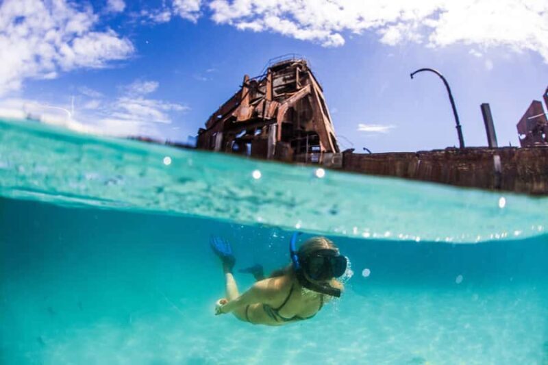 Moreton Island: Tangalooma Day Trip with Snorkeling Tour - Key Points