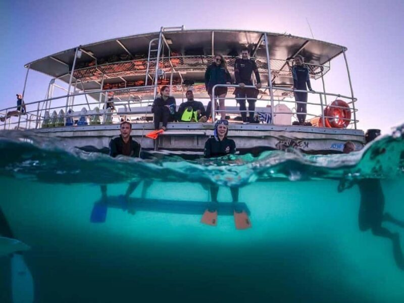 Moreton Island: Tangalooma Day Trip with Snorkeling Tour - Leisure and Wildlife Connection