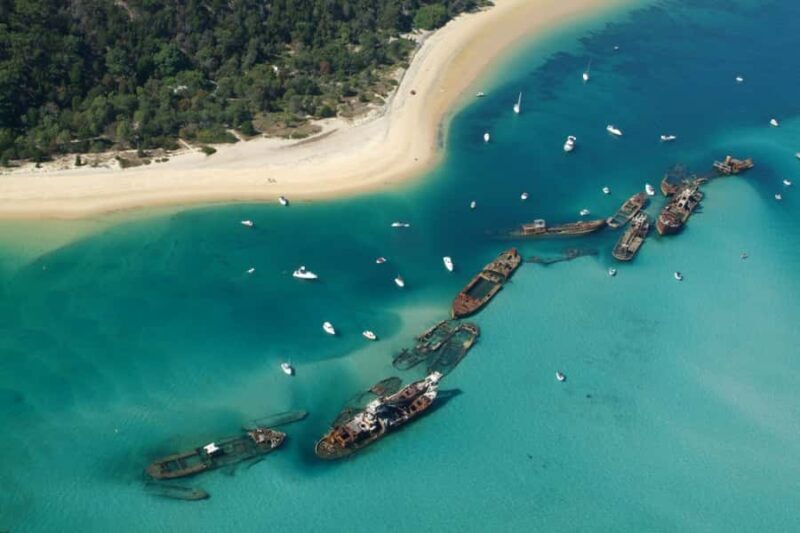 Moreton Island: Tangalooma Day Trip with Snorkeling Tour - FAQ