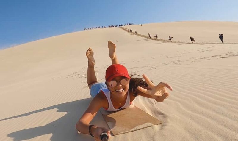 Moreton Island: Tangalooma Desert Safari and Dolphin Feeding - Key Points