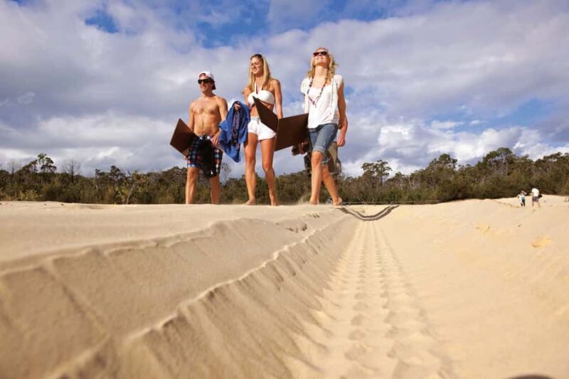 Moreton Island: Tangalooma Desert Safari and Dolphin Feeding - Who Is This Tour Best For?