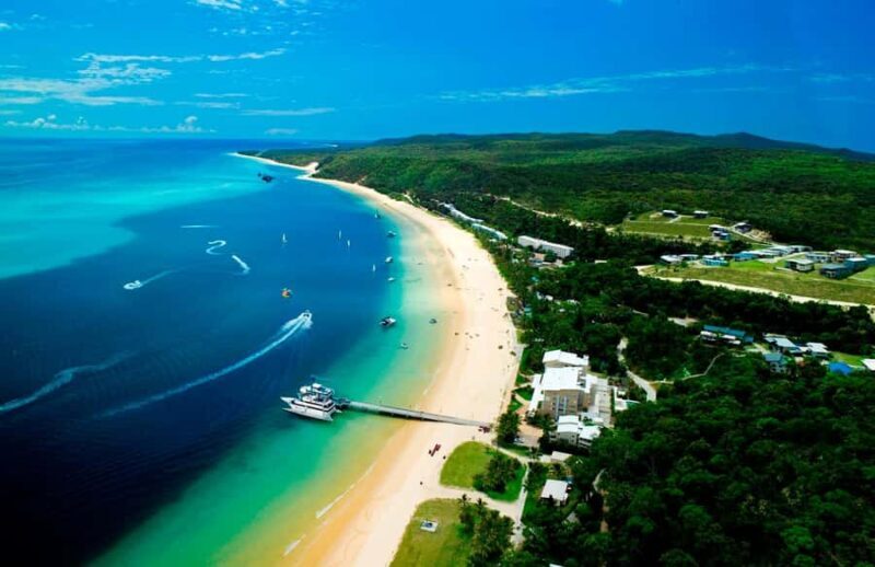 Moreton Island: Tangalooma Snorkeling Tour & Dolphin Feeding - Introduction: Your Day on Moreton Island in Focus