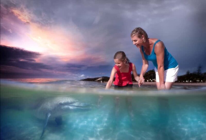 Moreton Island: Tangalooma Whale Watching & Dolphin Feeding - Authenticity and Practical Tips