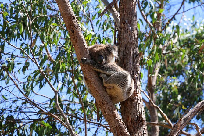 Morialta Wilderness and Wildlife Hike - The Itinerary in Detail