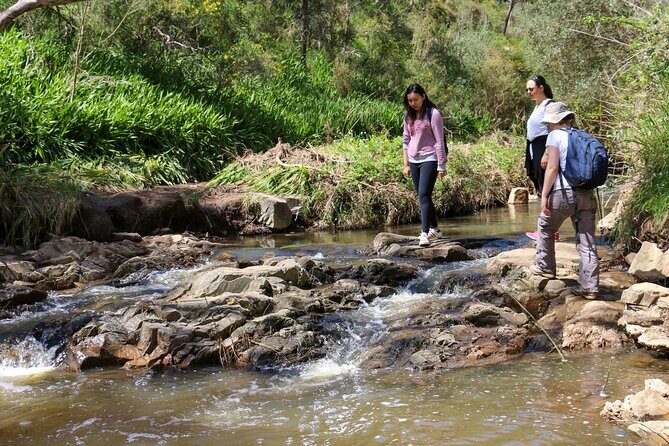 Morialta Wilderness and Wildlife Hike - The Sum Up