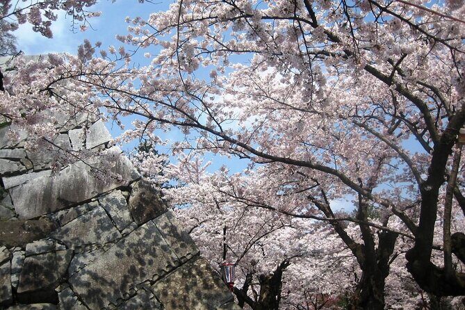 Morioka Half-Day Private Tour with Government-Licensed Guide - The Tour Experience: What to Expect