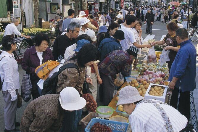Morioka Half-Day Private Tour with Government-Licensed Guide - Who Should Consider This Tour?