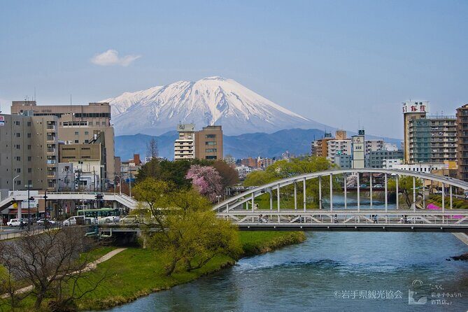 Morioka Town Walking Tour - Practical Considerations and Tips