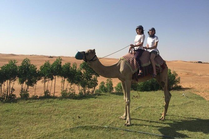 Morning Camel Trekking Over the Red Sand Dunes - A Detailed Look at the Camel Trekking Tour