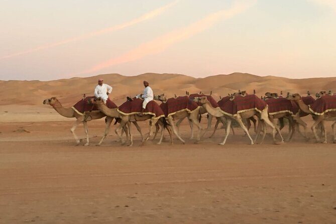 Morning Camel Trekking Over the Red Sand Dunes - The Sum Up