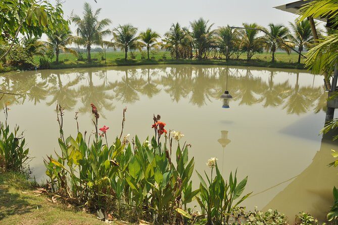 Morning Cooking Class in Organic Farm with Local Market Tour - What Makes This Tour Stand Out?