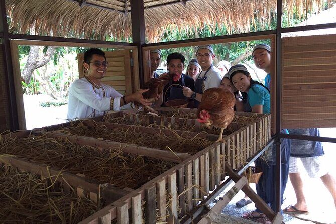 Morning Cooking Class in Traditional Pavilion with Beautiful Garden - Chiang Mai - The Experience’s Strengths and Considerations
