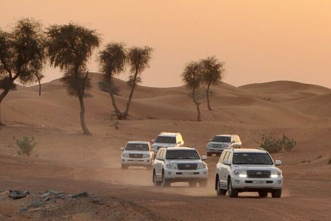 Morning Desert Dune Drive with Quad Bike Experience - Practical Tips for Travelers
