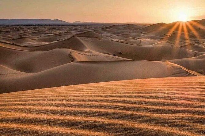 Morning Desert Safari - An Adventure to Kickstart Your Dubai Visit