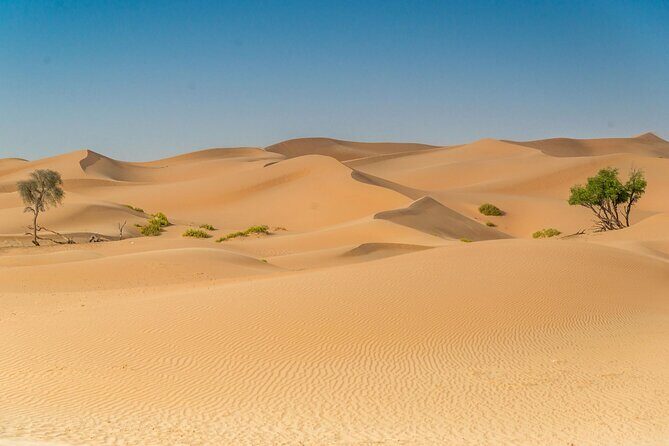 Morning Desert Safari Adventure in Abu Dhabi - Sandboarding: Sliding on Slope and Smiles