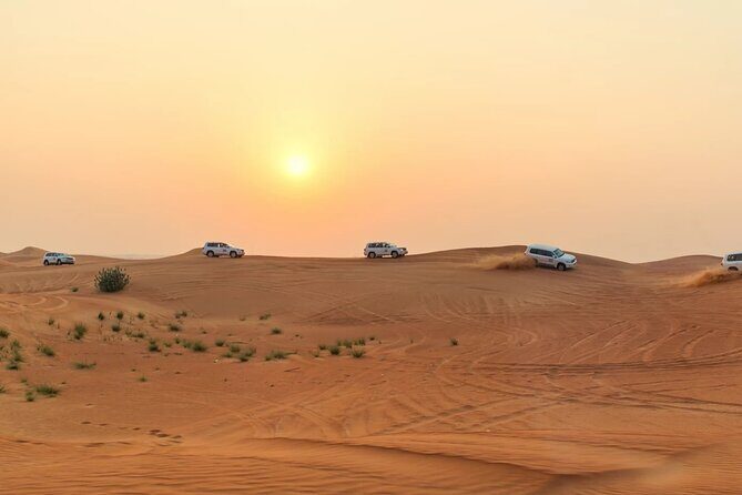 Morning Desert Safari Dubai Private Tour - The Sum Up
