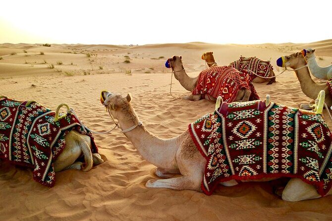 Morning Desert Safari Dubai Private Tour - FAQ