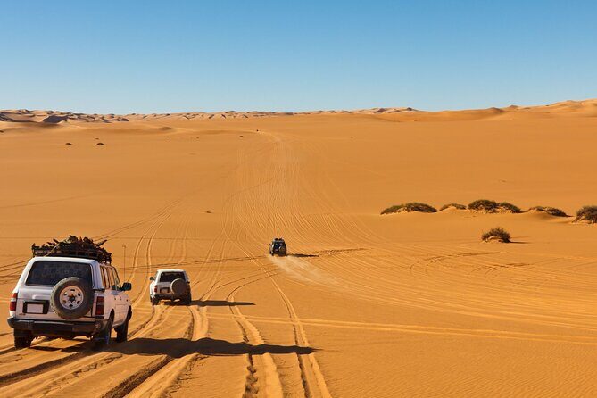 Morning Desert Safari plus Quad Bike, Sandboard and Camel ride - An In-Depth Look at the Desert Safari Adventure
