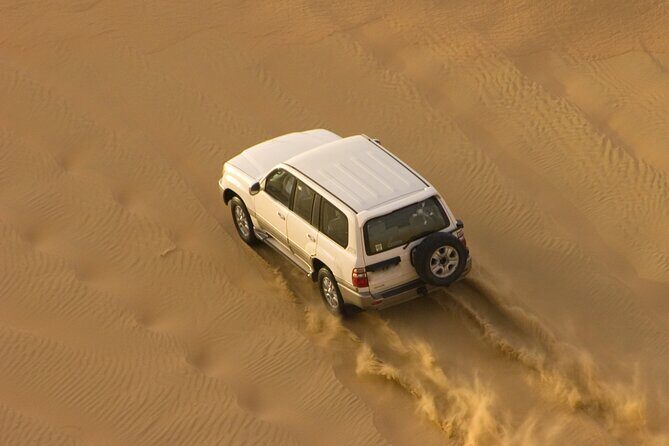 Morning Desert Safari plus Quad Bike, Sandboard and Camel ride - Camel Ride: A Classic Touch