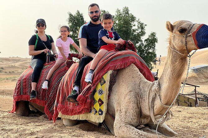 Morning Desert Safari, Quad Bike, Dunes Bashing and Camel Ride - Who Will Love This Experience?