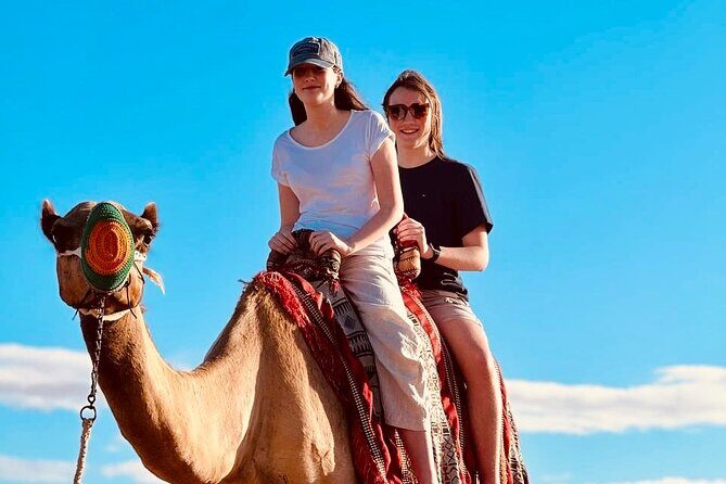 Morning Desert Safari Tour With Dune Bashing & Camel Ride - The Value of This Experience
