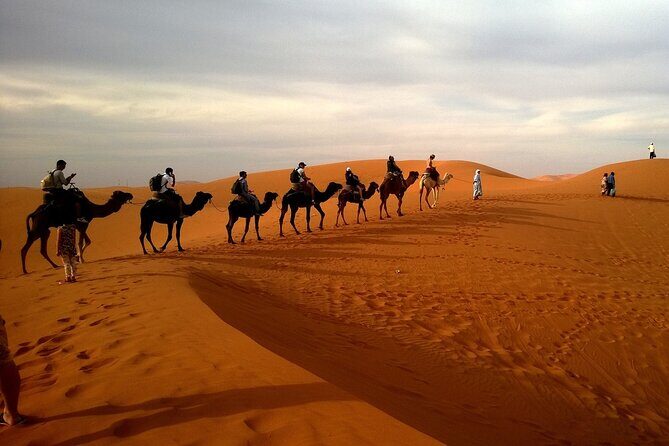Morning Desert Safari with 4x4 Dune bashing, Camel Ride and Sandboarding - FAQ