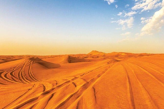 Morning Desert Safari with ATV bike - Who Should Consider This Tour