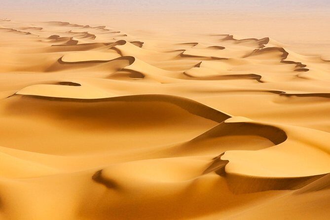 Morning Desert Safari with Camel Ride and Sandboarding - An Introduction to the Dubai Desert Safari Experience