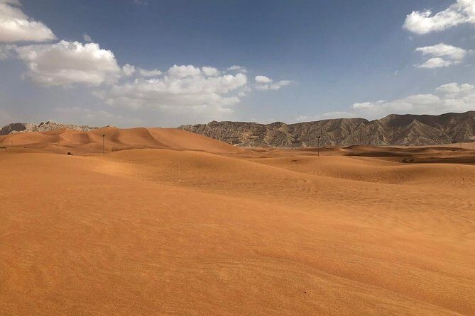 Morning Desert Safari with Camel Rides, Sand Boards and Dune Bashing - An In-Depth Look at the Desert Safari Experience