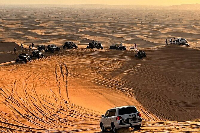Morning Desert Safari with Dune Bashing, Camel Ride, Sand Board & Quad Biking - The Sum Up: Who Should Sign Up?