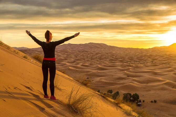 Morning Desert Safari With Dune Bashing - What to Expect from the Desert Safari Experience