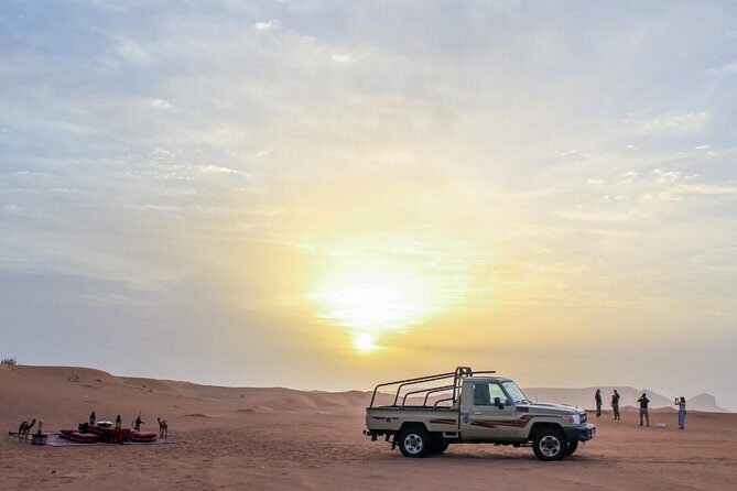 Morning Desert Safari With Dune Bashing - Who Will Love This Tour?